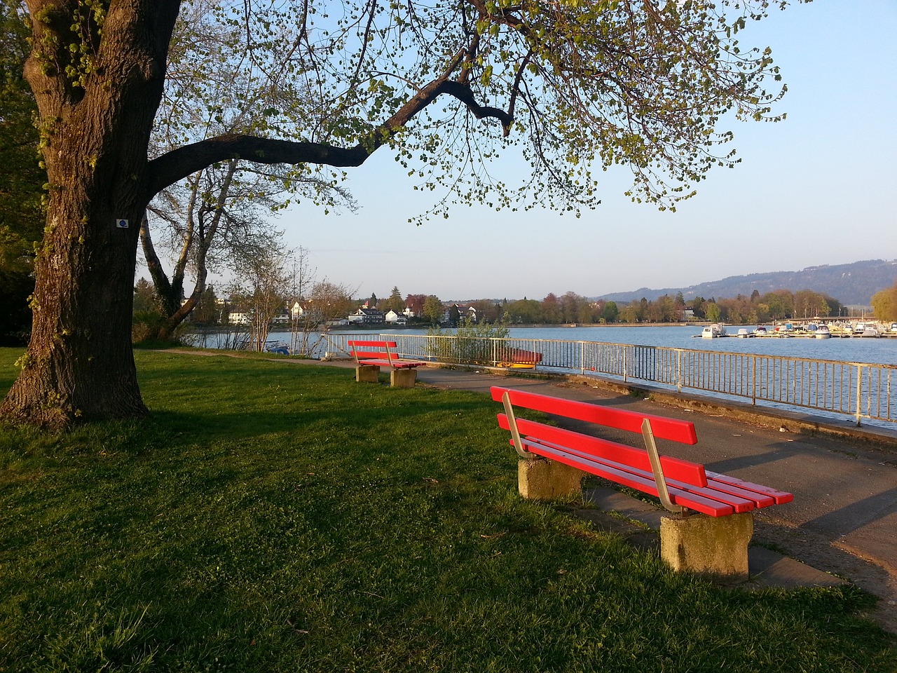 独行侠都确 独行侠都确