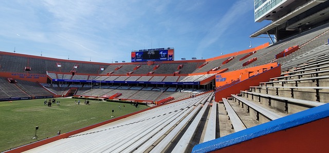 场上所展现 场上所展现