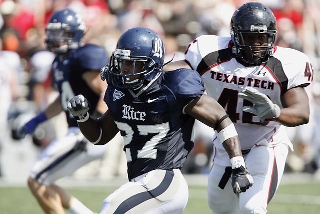 中共中央 国务院关于进一步深化农村改革 扎实推进乡村全面振兴的意见.